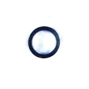 Sealing ring (12MA08)